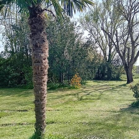 Ferme Aquinaut - Le Paradis Montesquieu-Volvestre Екстер'єр фото